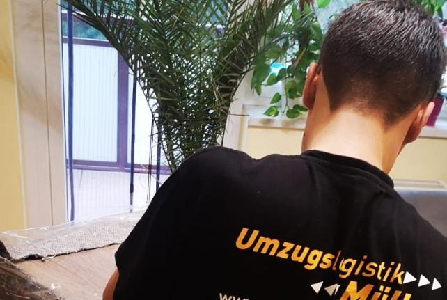Laborumzug Schmölln-Putzkau stressfrei umziehen 